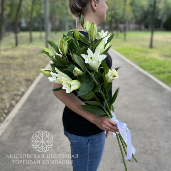 Букет 3 лилии Белая красавица