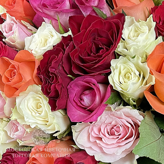 Букет из 75 роз Цвет радуги