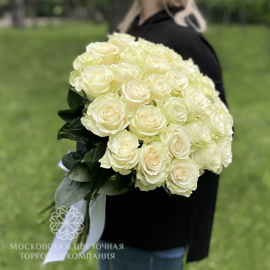 Букет 35 роз Мондиаль