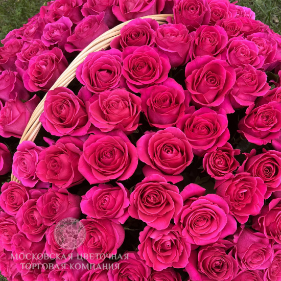 201 роза Пинк Флойд в корзине, Эквадор