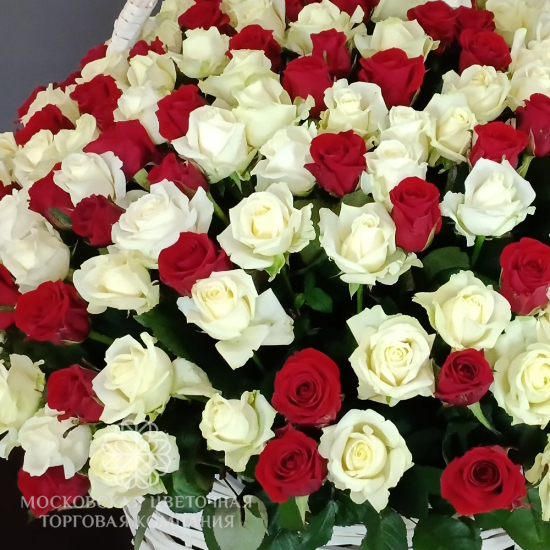 Букет 251 роза микс в корзине