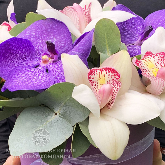 Букет с орхидеями "Естественная Красота"