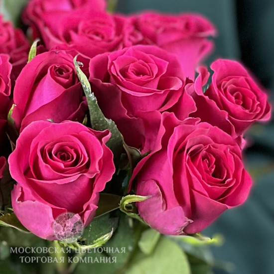 Букет 15 премиальных роз Готча