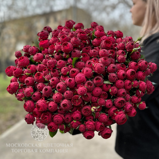 Букет "Королевский Бархат", кустовая роза Марун купить за 15 930 руб. с ...