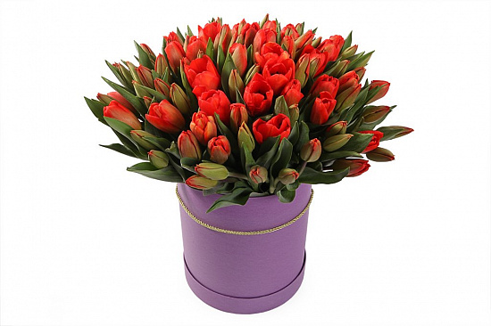 Букет 101 тюльпан в фиолетовой коробке, красно-оранжевые