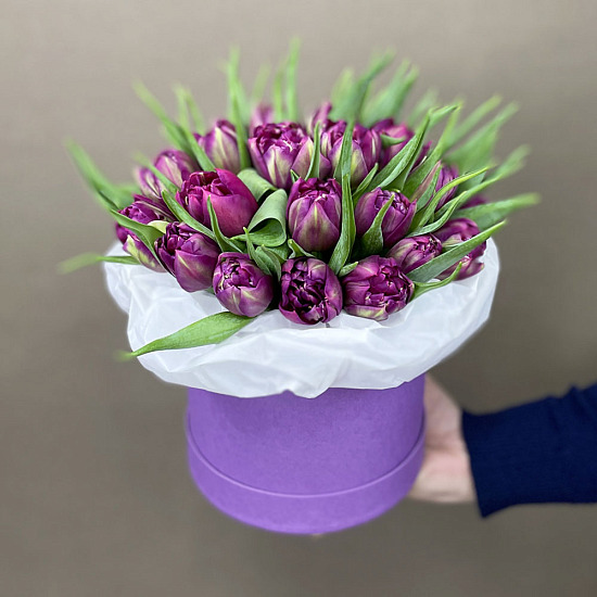 Букет 25 премиум тюльпан в коробке, пурпурные