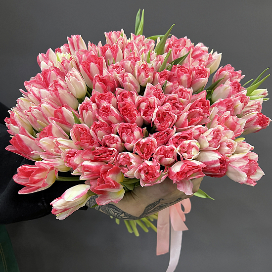 Букет 101 бело-розовый пионовидный тюльпан Pink Delight