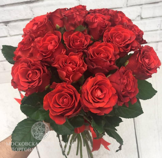 Букет 19 красных роз Эль Торо