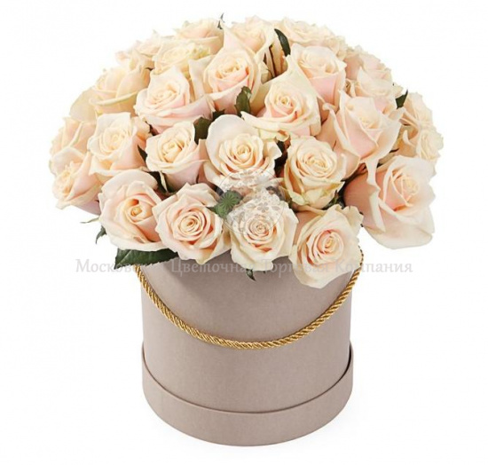 Букет 35 роз Талея в шляпной коробке