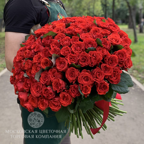 Букет 151 красная роза Эль Торо