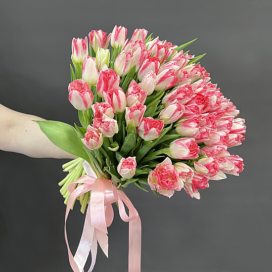 Букет 51 бело-розовый пионовидный тюльпан Pink Delight