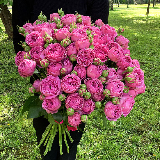 Букет 21 кустовая пионовидная роза Мисти Бабблз
