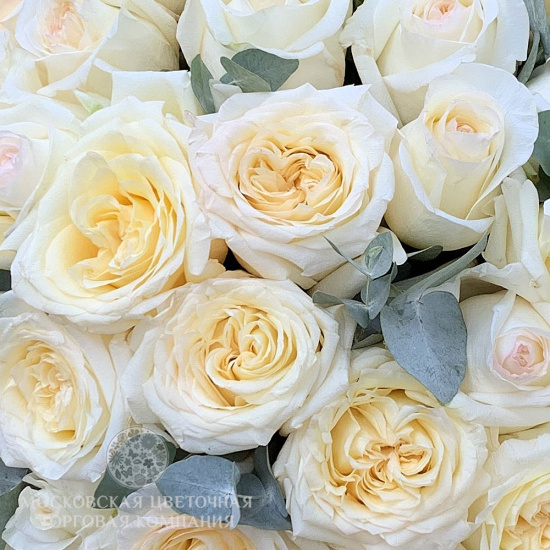Букет с пионовидными розами Кэндллайт "Divina"