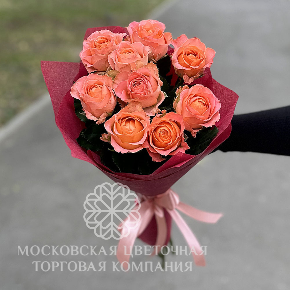 Роза РОР / САЖЕНЦЫ ПИТОМНИКА / РОЗЫ / Чайно-гибридные розы / KAZATCHOK