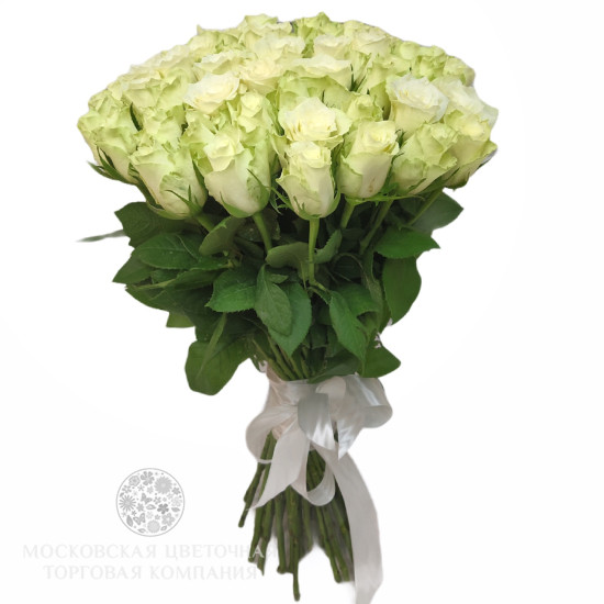 Букет Белый Ангел (51 роза)