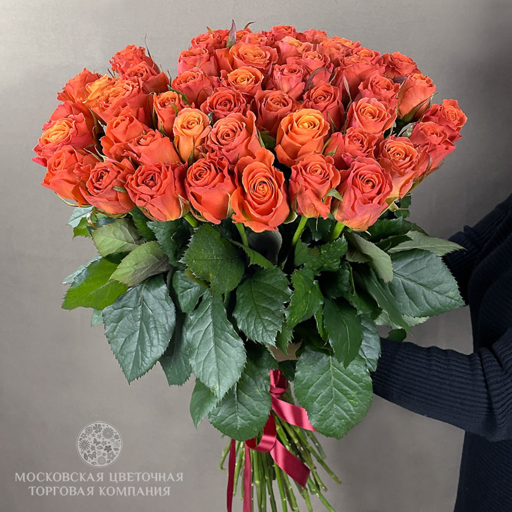 720 rosa deals