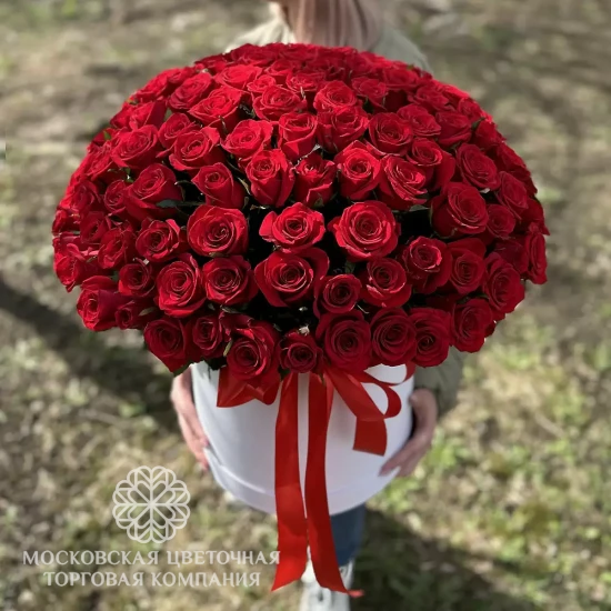151 красная роза в коробке