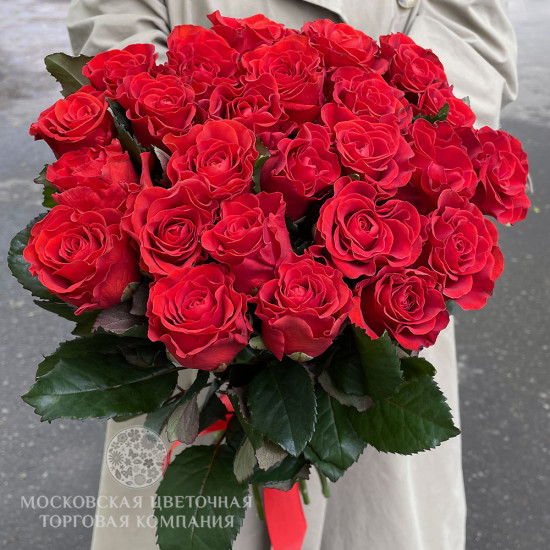 Букет 25 красных роз Эль Торо