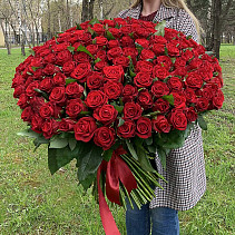 Букет из 201 красной розы