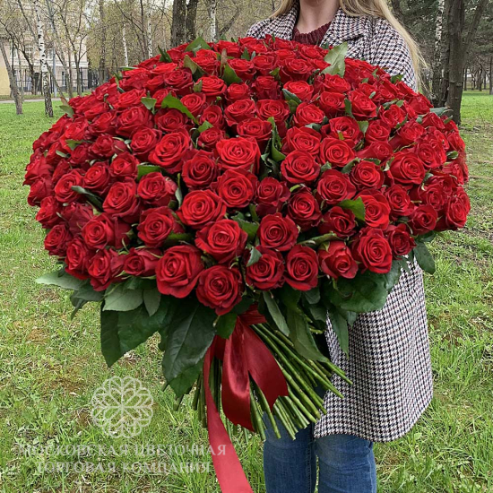 Букет из 201 красной розы