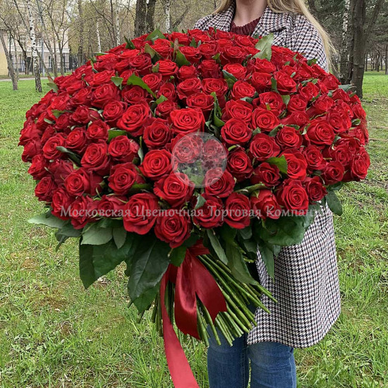 Букет из 201 красной розы