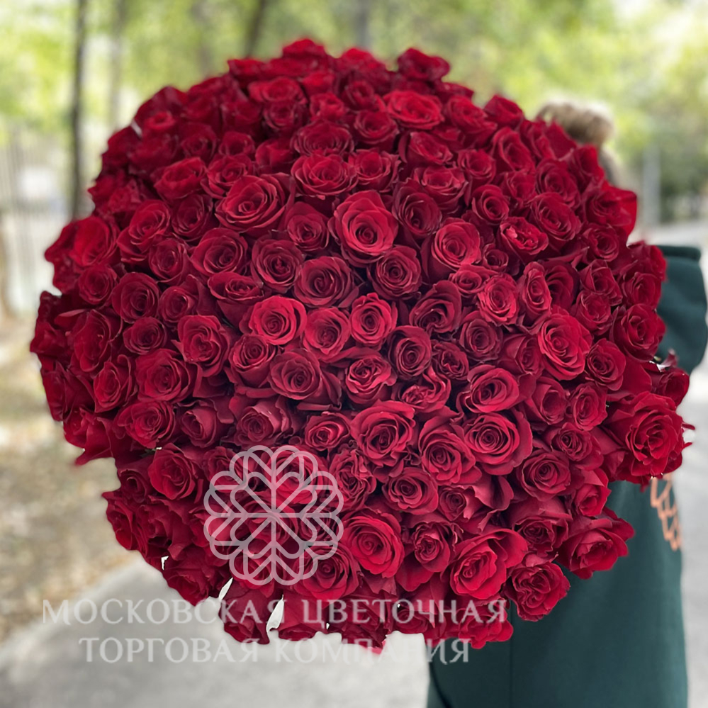 Букет 151 премиум роза Эксплорер купить с доставкой круглосуточно