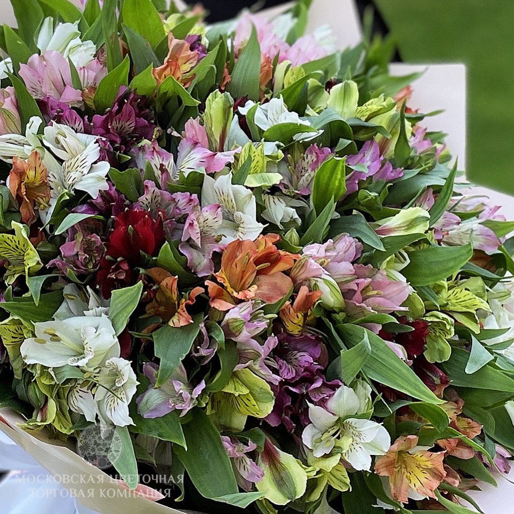 Букет из 51 альстромерии Радужный купить за 11 290 руб. с ...