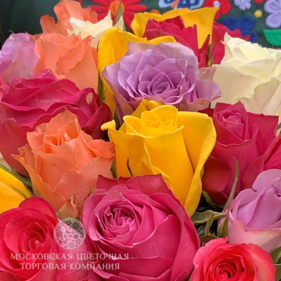 Букет из 25 роз Цвет радуги