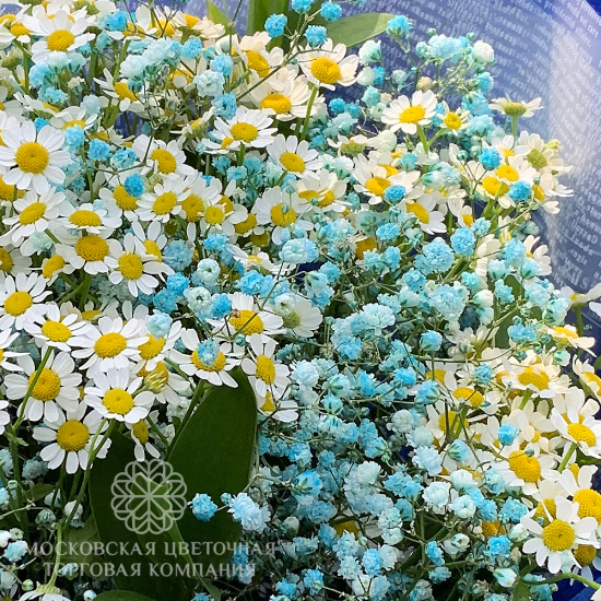 Букет Улыбка Августа