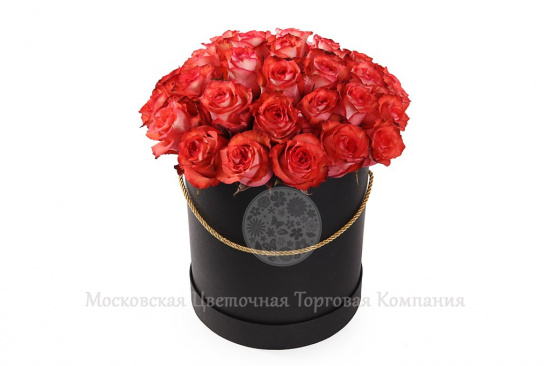 Букет 35 роз Игуана в шляпной коробке