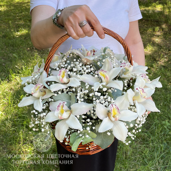Букет с орхидеями "Звезда родилась" в корзине