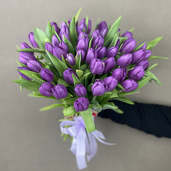 Букет 51 тюльпан, пурпурные