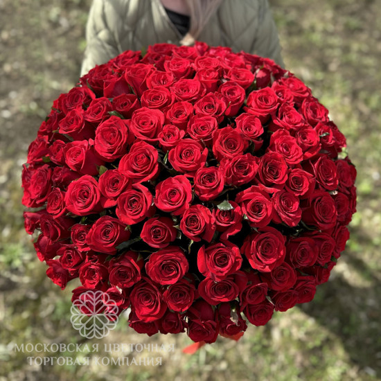 151 красная роза в коробке