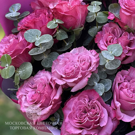 Букет 15 пионовидных роз Кантри Блюз