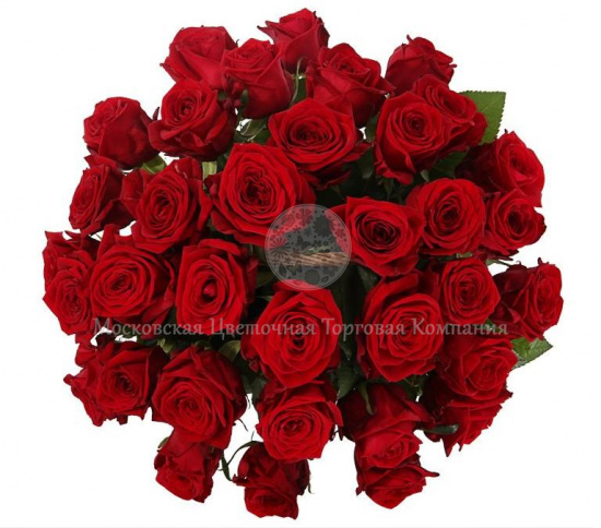 Букет 35 красных роз в корзине