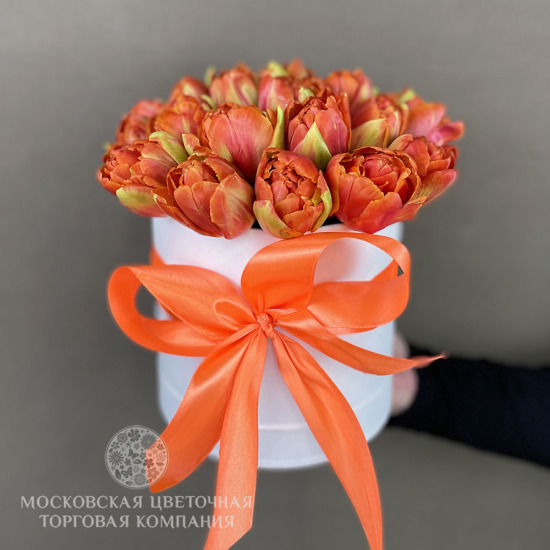 Букет из 25 премиум-тюльпанов в коробке, оранжевые