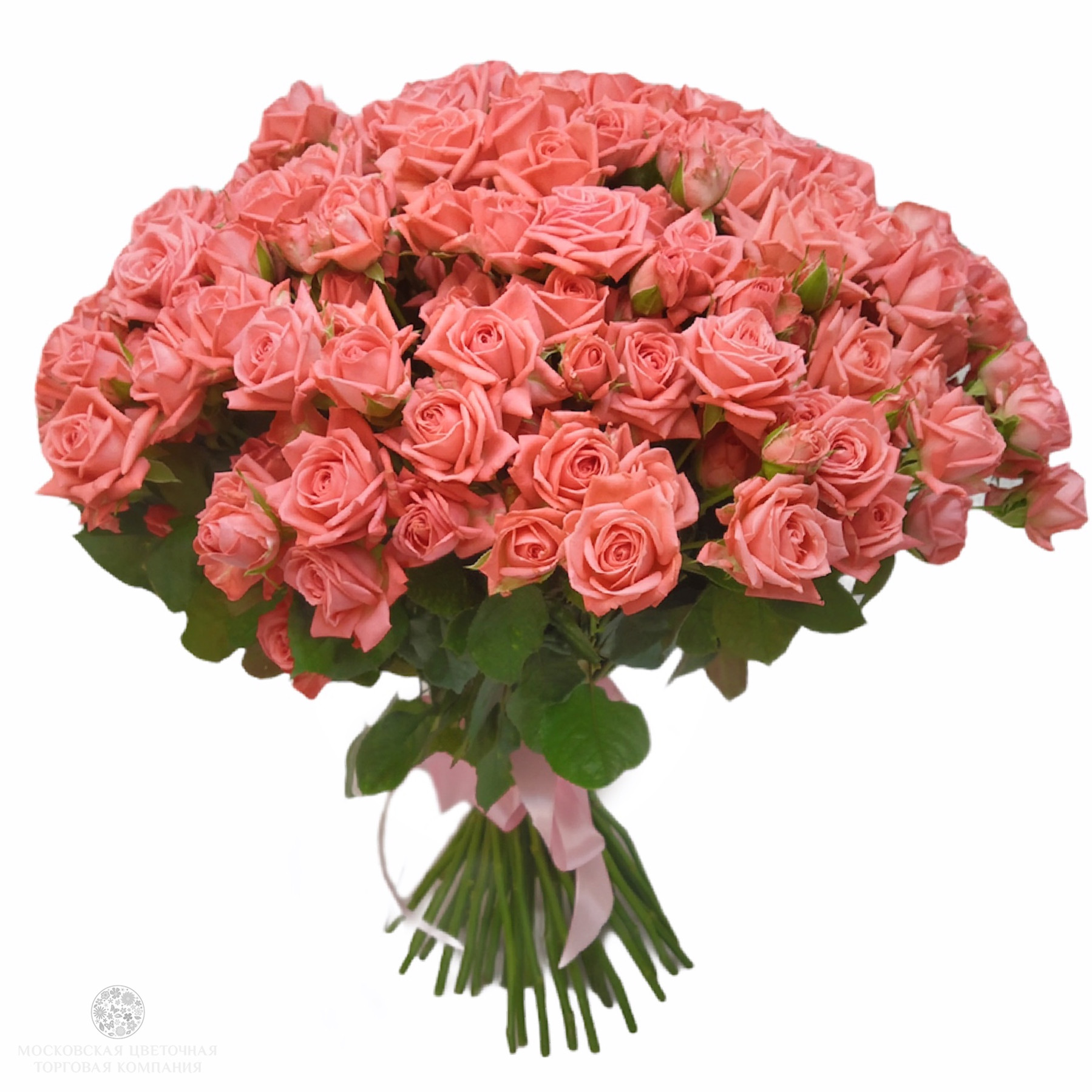 Адыгея спрей барбадос букет. Букет из 51 кустовой розы. Барбадос кустовая. Барбадос кустовая. Барбадос кустовая.