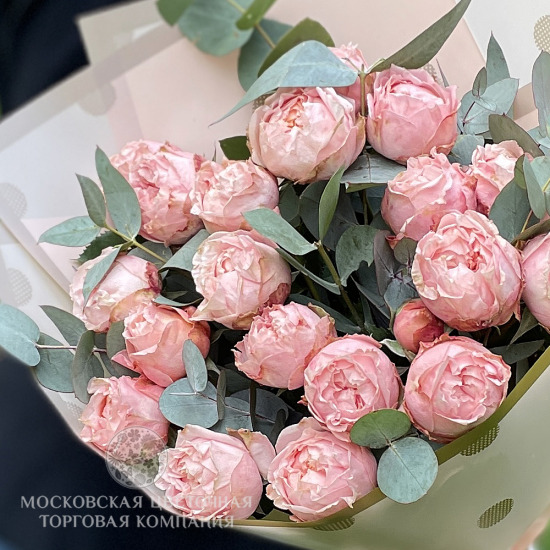 Букет пионовидных роз Джорджия Пич