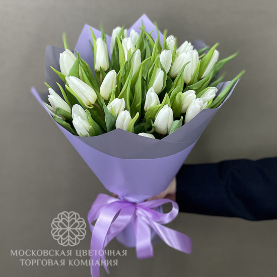 25 белых тюльпанов
