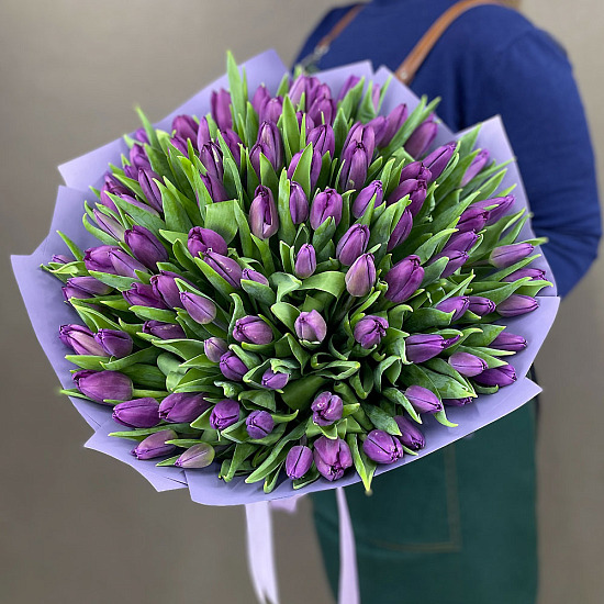 Букет 101 тюльпан, пурпурные