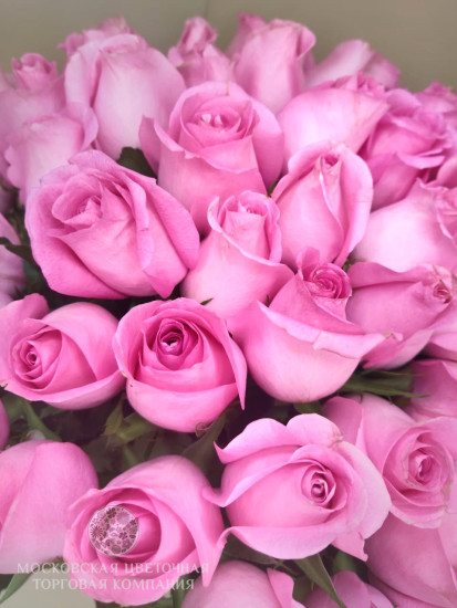 Букет Розовый Рассвет (51 роза)