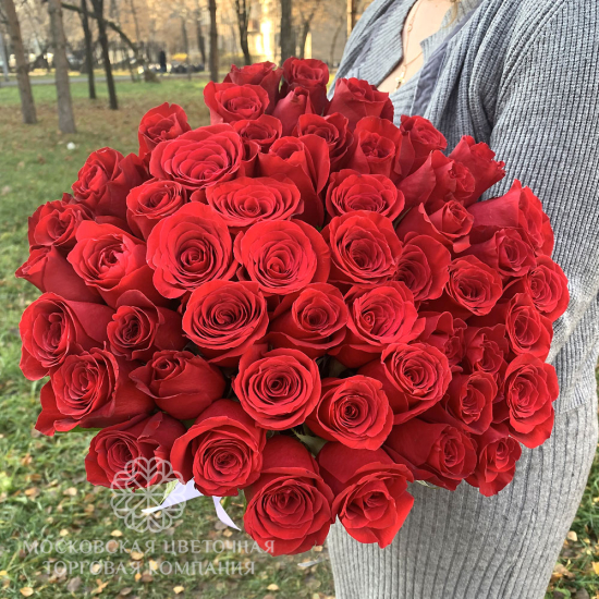 51 роза Фридом
