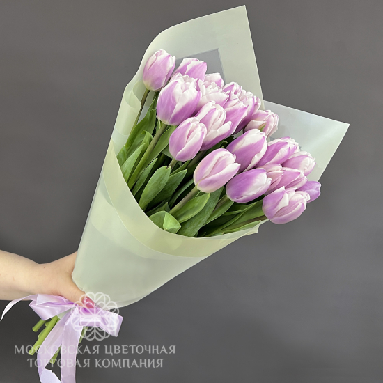 25 белых тюльпанов

