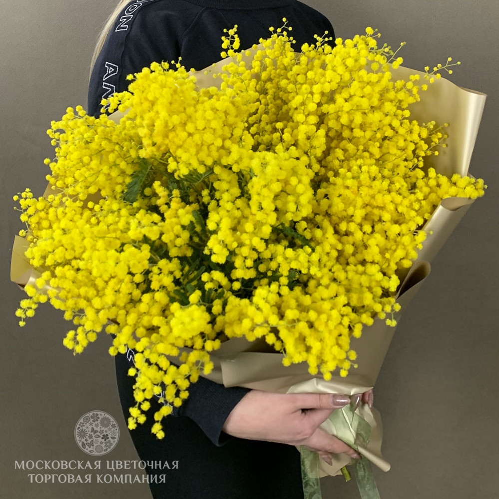 Букет мимозы "Цветущий Комплимент" купить за 8 650 руб. с ...