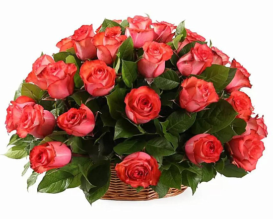 Букет 35 роз Игуана в корзине