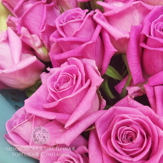 Букет-сердце из 55 розовых роз Аква