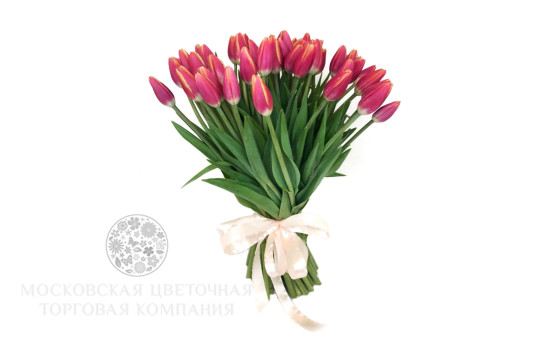 Букет 51 тюльпан, красно-розовые