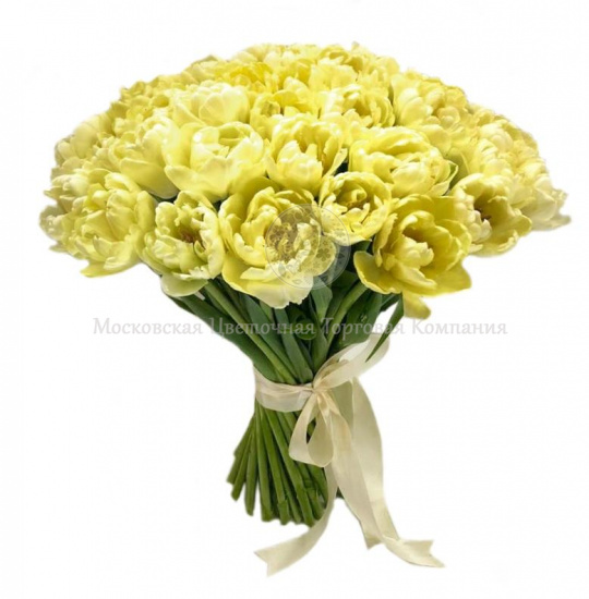 Букет 51 пионовидный тюльпан, желтые