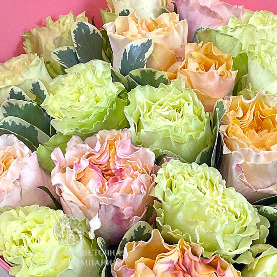 Букет премиальных роз Bloom
