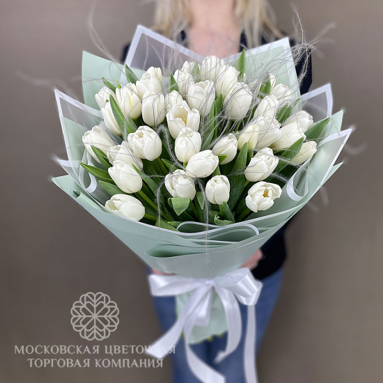 25 белых тюльпанов
